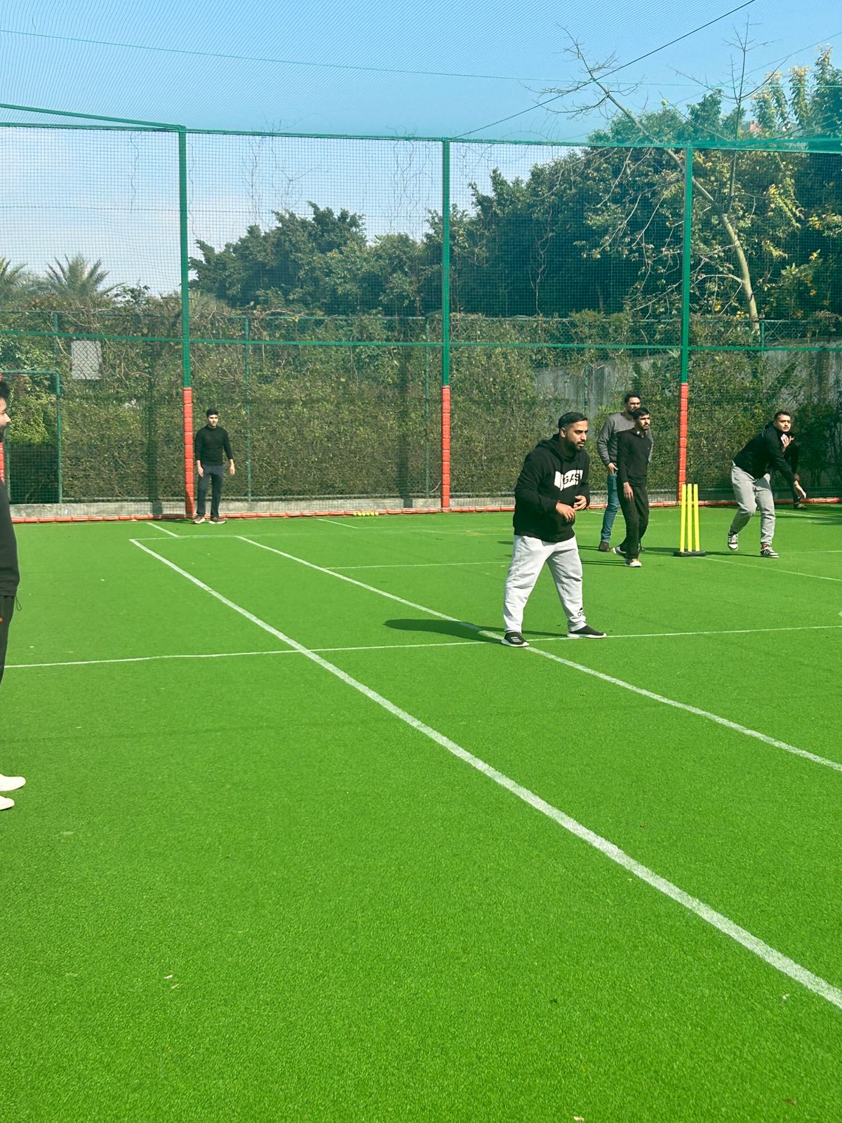 Cricket Matches