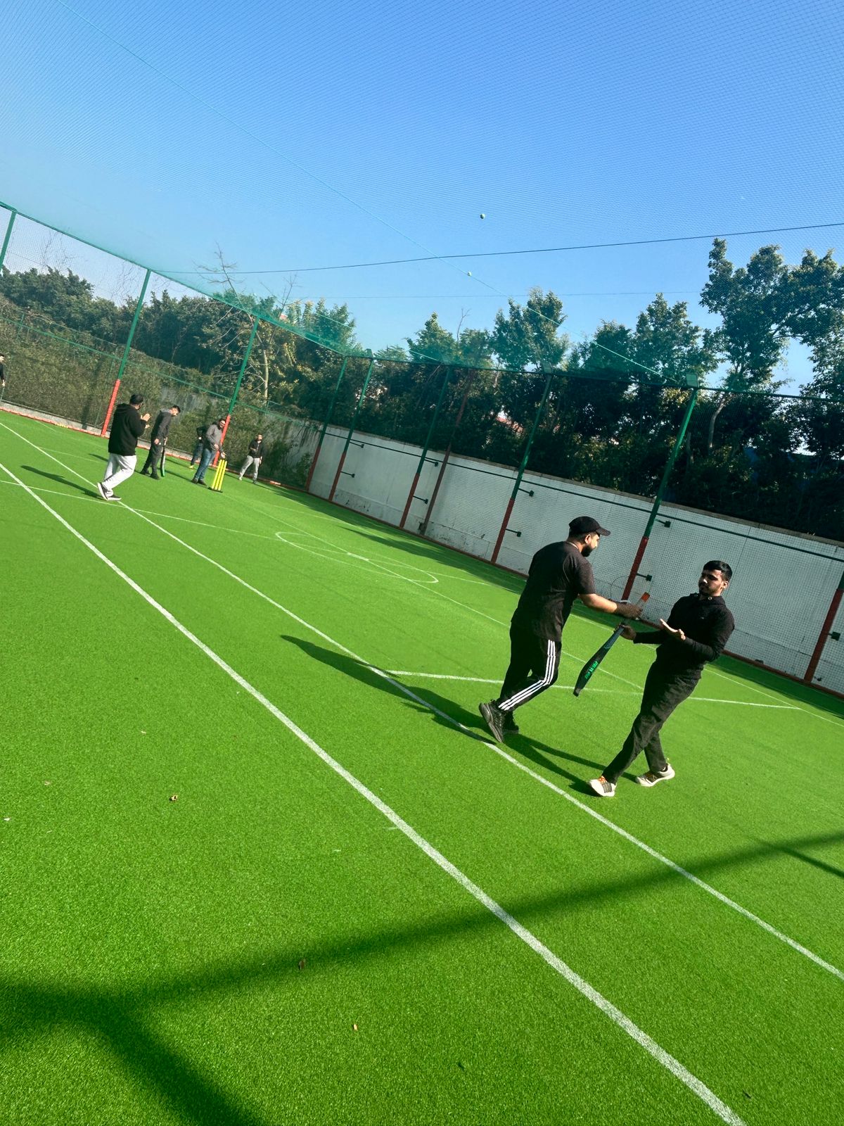 Cricket Matches